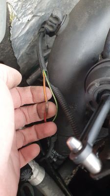 Seat Ibiza 2FL 1.9 ASV Palący się bezpiecznik i brak możliwości jazdy