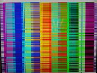 Monitor LCD HYUNDAI X93SD Zakłócenia treści na ekranie.