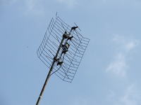 Uziemianie anteny siatkowej