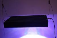 LEDowe oświetlenie do akwarium