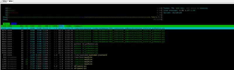 System monitor htop on Raspberry Pi with PRG Python script running