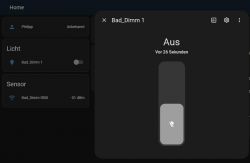Home Assistant interface with Bad_Dimm 1 device