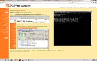 Windows SBS - Przekierowanie DNS na strone www w innej lokalizacji
