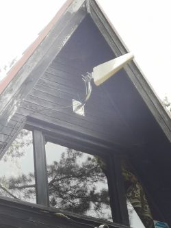 ATK504 vs ATK-LOG ALP LTE Antennas: Differences, Price, Compatibility with DWR921 & Forest Coverage