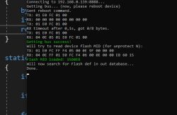 Terminal window with messages about device connection and Flash memory read