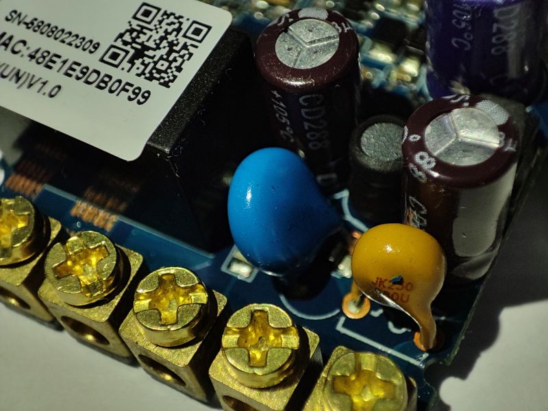 Close-up of capacitors and screw terminals inside the Refoss R10 module