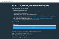 Screenshot of the BK7231T_WB3S_WhiteStripWindows user interface for setting start values.