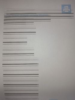 Epson L3250 - drukuje paski na wydruku, co może być przyczyną?