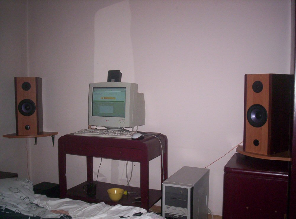 Moja pierwsza konstrukcja-Kolumny stereo oparte na Tonsilach Moja pierwsza konstrukcja-Kolumny stereo oparte na Tonsilach