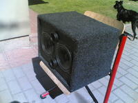 Subwoofer do samochodu na 2X ARN 165-05/4 by Panzer 9 Subwoofer do samochodu na 2X ARN 165-05/4 by Panzer 9