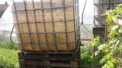 Rainwater Tanks: Preventing Algae Formation in Mauser 1000L Tanks with Proven Preparations