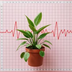 Oscyloskop podłączony do diody z latarki: skąd sygnał 50Hz 33mV w ciemności?