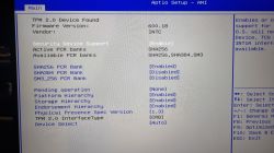 Zrzut ekranu z BIOS-u komputera, pokazujący ustawienia wsparcia urządzenia TPM 2.0 oraz opcje związane z hierarchią platformy i specyfikacją fizycznej obecności.