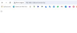 Screenshot of browser showing empty result for a URL command.