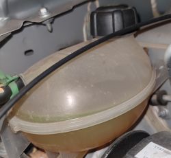 Dacia Sandero 2018: Mieszanie płynów chłodniczych koloru żółtego i zielonego - konsekwencje