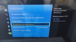 TV Help Menu with Software Update Technical support menu on a TV screen with a software update option.