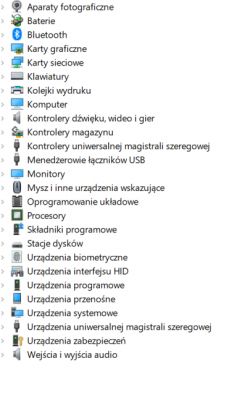 Zrzut ekranu menedżera urządzeń w systemie Windows z wypisanymi kategoriami urządzeń.