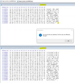 Screenshot of PhoenixMC showing a comparison of two binary files with different sizes.