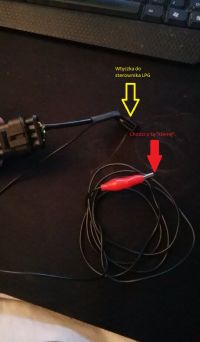 Stefanelli Sis Plus - Problem ze wskazaniami w programie, podłączanie. Stefanelli Sis Plus - Problem ze wskazaniami w programie, podłączanie.