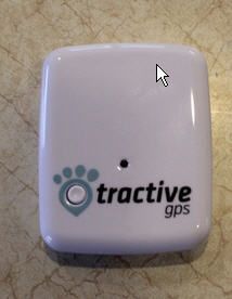 GPS Locator for Car Security: Recommendations, Battery Options & Known Suppliers GPS Locator for Car Security: Recommendations, Battery Options & Known Suppliers