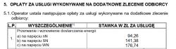 PGE Wymiana zabezpieczenia przedlicznikowego, przewodów oraz części przyłącza