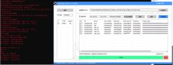 Screenshot showing the process of programming flash memory using PhoenixMC tool and a terminal window with network system startup logs.