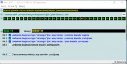 Okno programu diagnostycznego z kodowaniem i ustawieniami Byte 19.