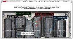 A photo of a Bosch ECU connector with highlighted and labeled pins: CAN L (45), CAN H (44), ground (3), +12V (42, 46), GPT1 (6).