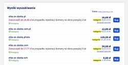 Lista dostępnych domen elka-ze-slaska z cenami za pierwszy rok i informacją o dostępności