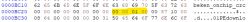 Screenshot of a hex editor showing binary data and text fragments.