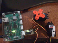 Laserowa zabawa dla psa