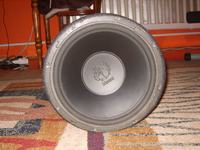 Głośnik MAGNAT - wymiary paki, czym wypełnić?