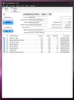 Ekran CrystalDiskInfo pokazujący parametry SSD Intel DC S3610 800GB