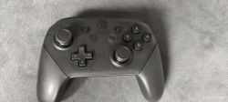 Nintendo switch pro pad - Brak fabrycznego podświetlenia.