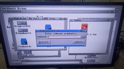 Screenshot des Amiga Workbench-Betriebssystems mit geöffnetem Dateiausführungsfenster.