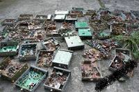 Onwa MK1 - brak nadawania, wymiana C2075, urwany kondensator C100, brak mocy