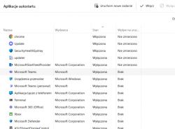 Zrzut ekranu z ustawieniami aplikacji autostartu w systemie Windows