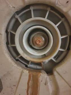 Electrolux EWT1266EDW - uszkodzenie bębna, możliwość wymiany łożyska?