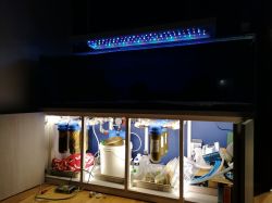 Tworzenie belki LED dla roślin wymagających w akwarium 150x44,5x60cm - ilość i typ diod?
