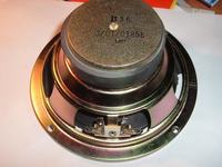 Uszkodzony głośnik - jaki to jest gł?