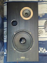 Kolumny Podłogowe - DIY 2000 - 3000 zł.