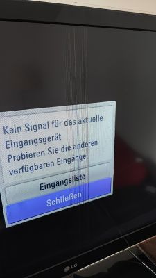 Telewizor LG z pionowymi paskami na ekranie i komunikatem o braku sygnału.