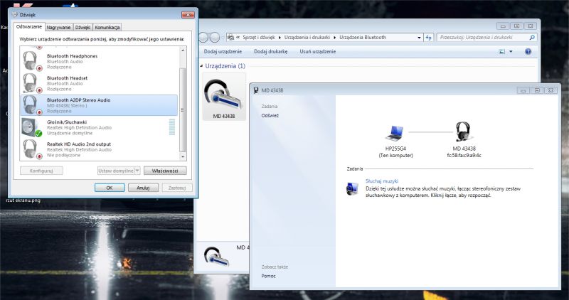 - Brak komunikacji Bluetooth głośnika z laptopem.