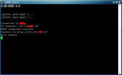 PuTTY window showing WeMOS D1 mini connection and assigned IP address