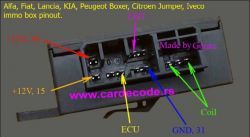 Fiat punto 1.2 8v MPI - Podłączenie kostki stacyjki , identyfikacja komputerów