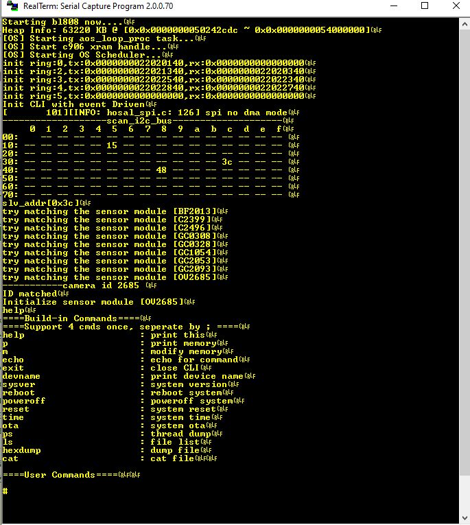 RealTerm Interface in Terminal Mode RealTerm program interface displaying data in terminal mode.