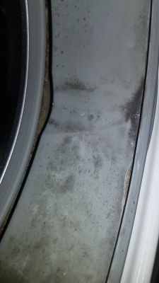 Miele AURIN W3732 - gdzie znaleźć fartuch lub usunąć osad?