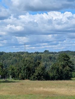 Widok na pole z lasem i odległą wieżą sygnałową na tle nieba z chmurami