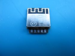 DT-BL02 WiFi Module with Pins Image of the DT-BL02 WiFi module with visible pins and markings.