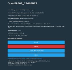 Why is BL602 LFS (LittleFS) missing in the current build and can it be implemented?